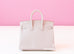 Hermes Beton Togo RGHW Birkin 25 Handbag