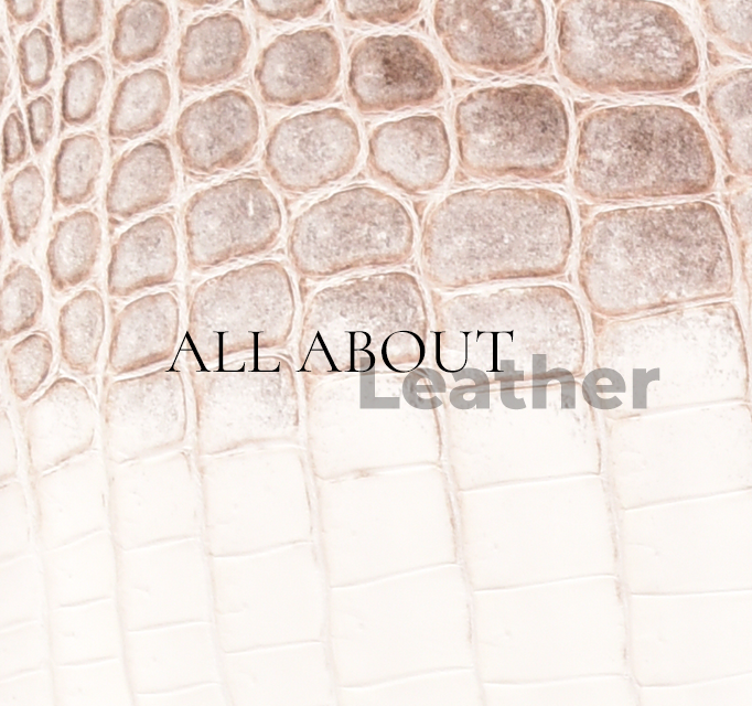 All About Leather!