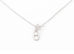 Hermes Silver Chaine d'ancre Pendant Necklace
