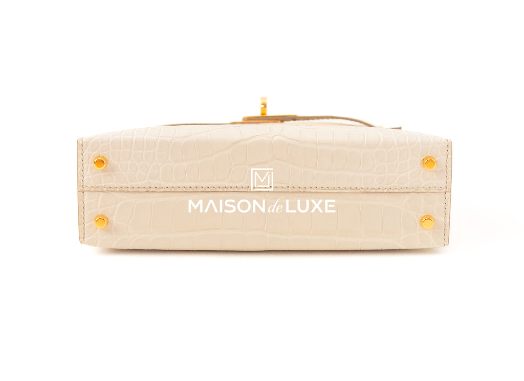 MummyGoesShopping: SOLD! Hermes Karo GM Clutch/ Pouch in Iris Chevre