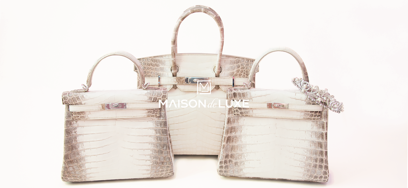 Hermes Ombre Lizard Sellier Kelly 25 Handbag - MAISON de LUXE