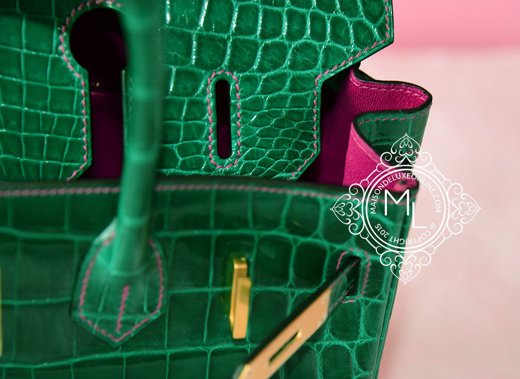 birkin crocodile green｜TikTok Search