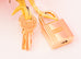 Hermes Pre-owned Hermes Soufre Epsom Gold Hardware Birkin 25 Handbag