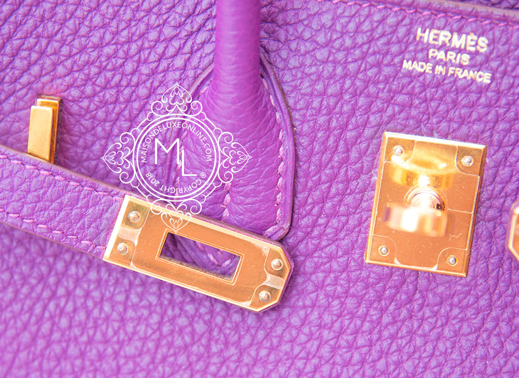 Hermes Birkin Handbag Purple Togo with Gold Hardware 25 Purple 21775323