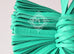 Hermes Green Menthe Carmen Keychain Bag Charm - New - MAISON de LUXE - 5