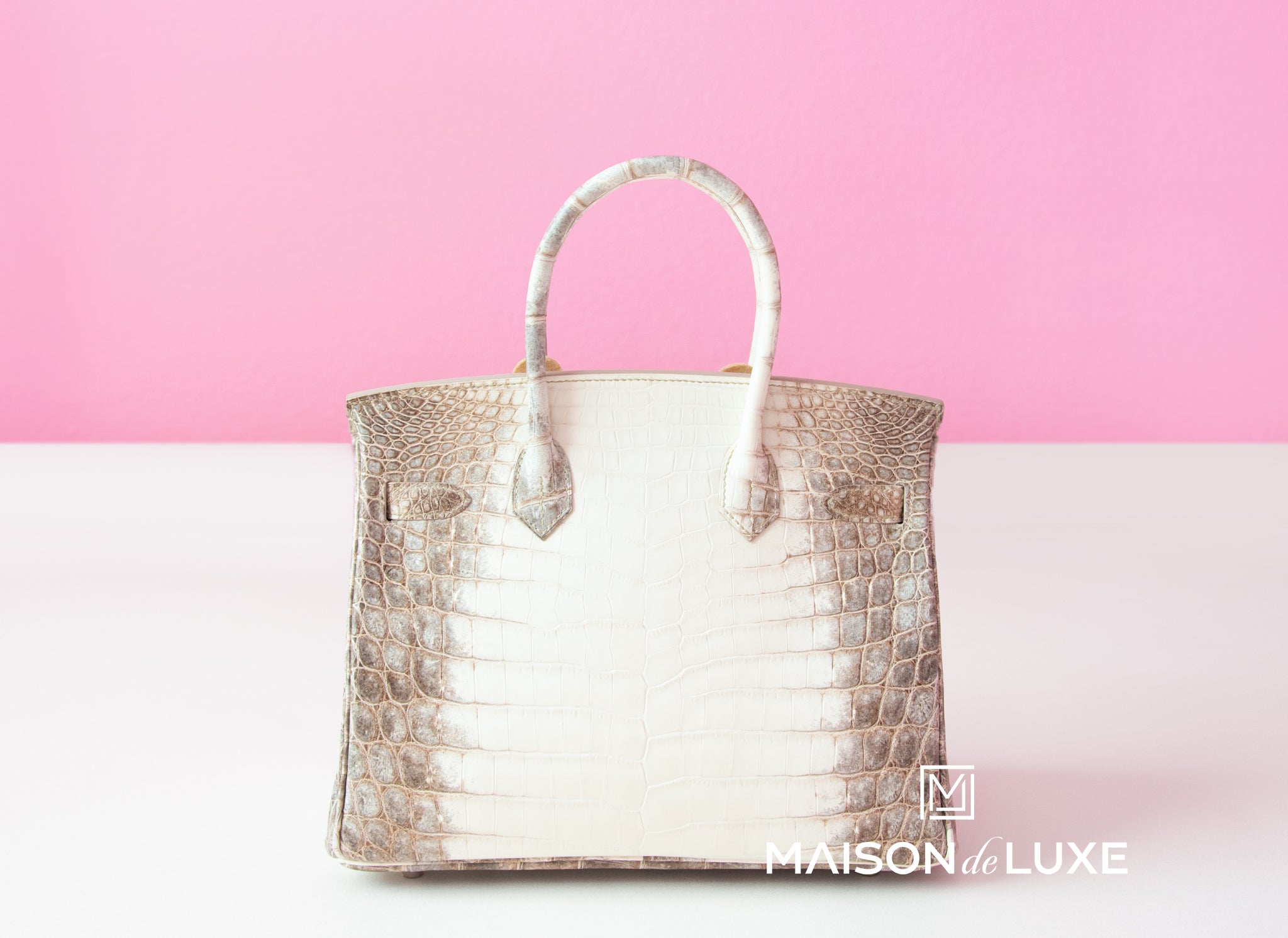 Hermes Blanc Himalayan Himalaya Crocodile Birkin 30 Handbag Bag – MAISON de  LUXE