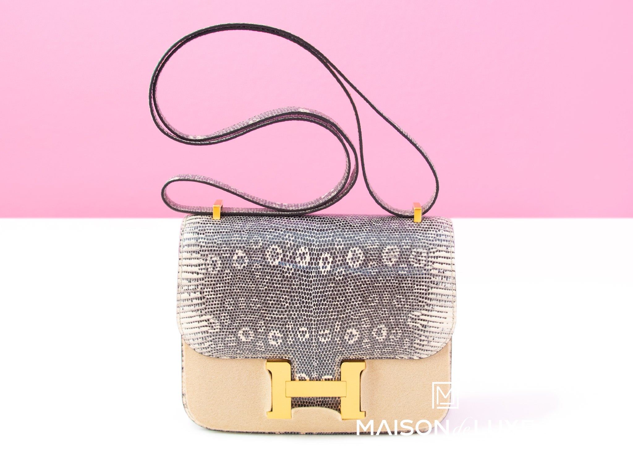 Hermes Ombré Lizard Constance Mini 18/19 Handbag Bag