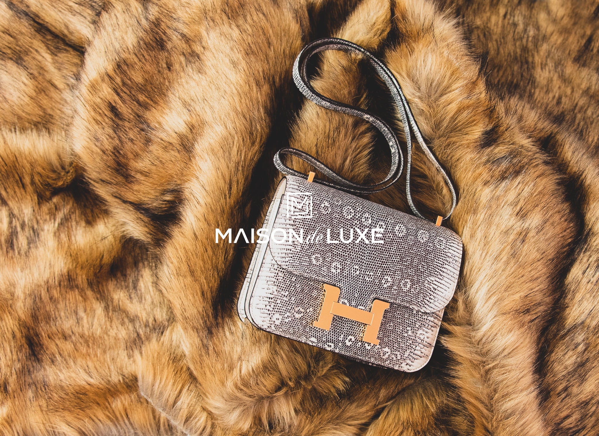 Hermes Mini Constance 18 Ombre Lizard Varanus Gold Hardware – Madison  Avenue Couture