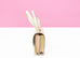 Hermes Constance Mini 18 Nata Epsom Handbag
