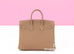 Hermes Birkin 25 Etoupe Togo - back
