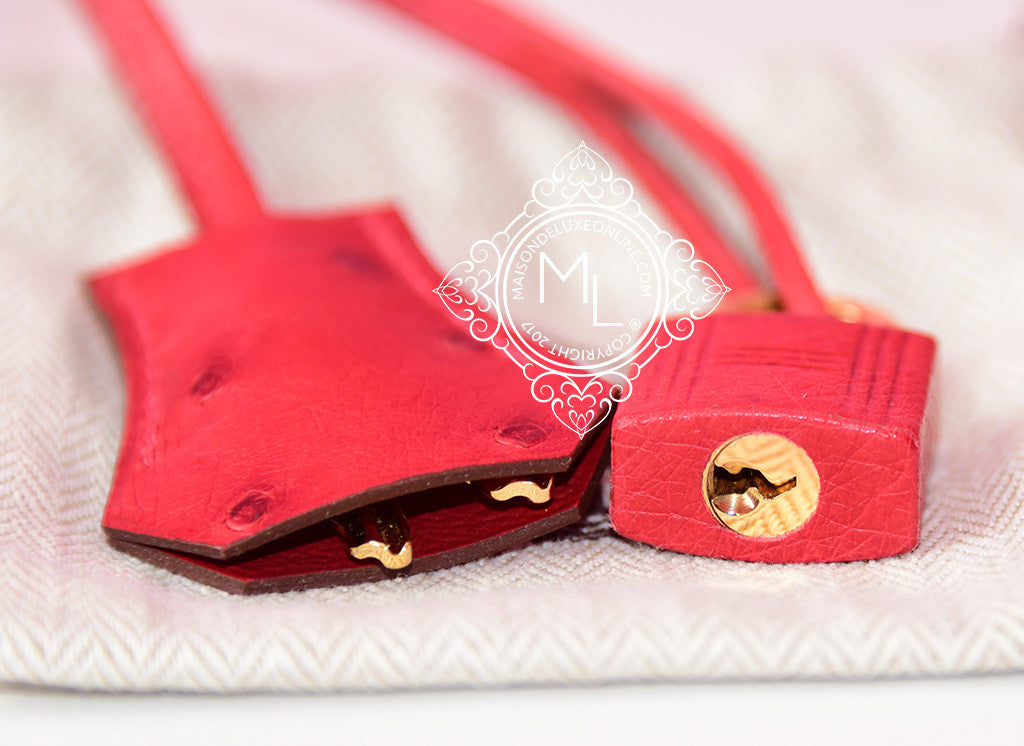 Hermes Rouge Vif Red Gold Ostrich Sellier Kelly 25 Handbag Bag Purse –  MAISON de LUXE