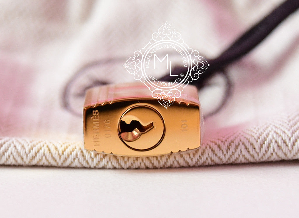 Hermès Birkin 30 Noir Porosus Matte with Gold Hardware - Bags