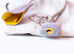 Hermes HSS Mimosa + Gris Perle Crocodile Kelly 25 Handbag