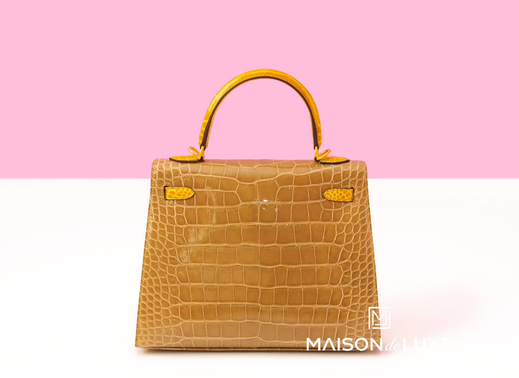 Hermes Ombre Lizard Sellier Kelly 25 Handbag - MAISON de LUXE